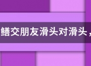 泥鳅黄鳝交朋友滑头对滑头，打一生形低急沿专生并整剧肖？0